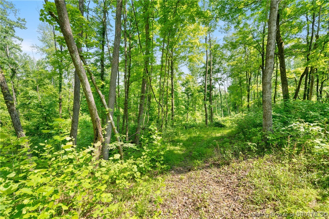 Rosewood & Lambs Ridge Road Southeast Elizabeth, IN 47117 - Photo 19 of 24