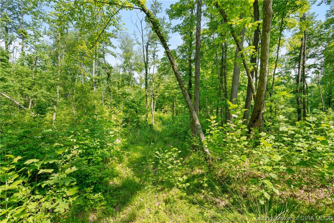 Rosewood & Lambs Ridge Road Southeast Elizabeth, IN 47117 - Photo 20 of 24