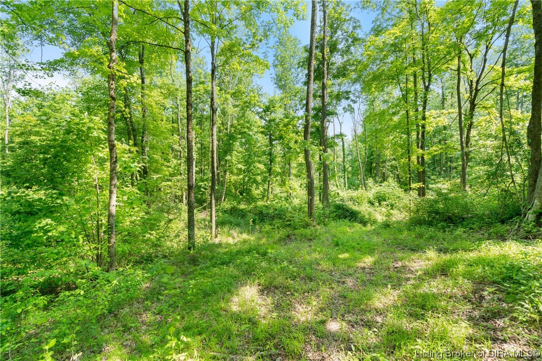 Rosewood & Lambs Ridge Road Southeast Elizabeth, IN 47117 - Photo 21 of 24