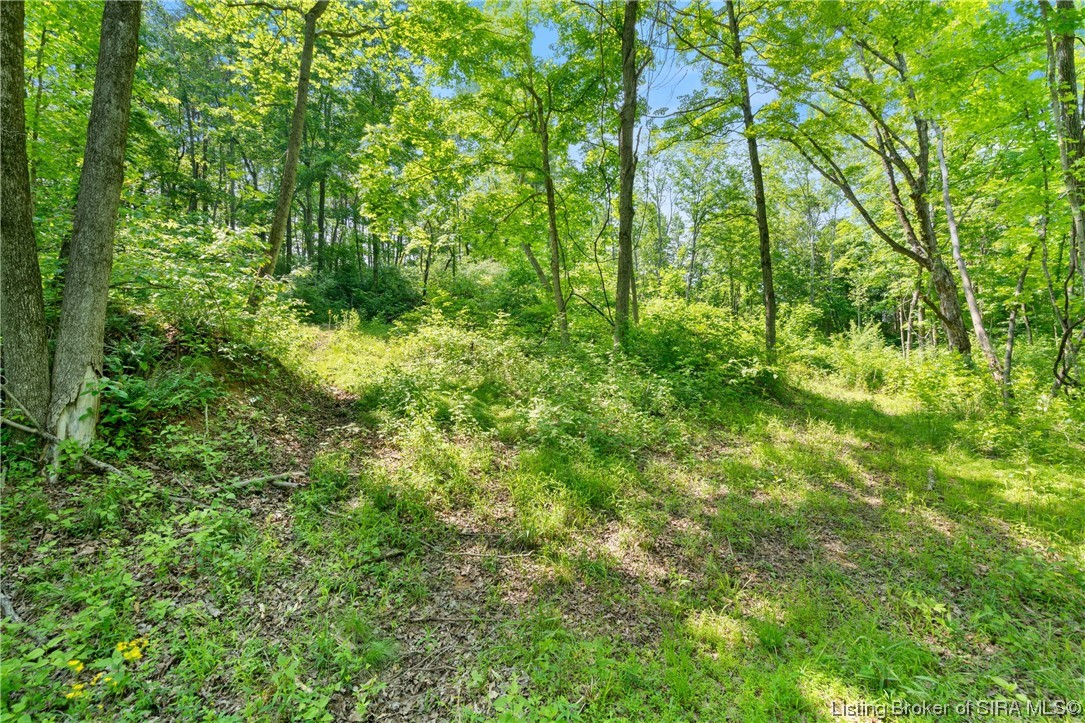 Rosewood & Lambs Ridge Road Southeast Elizabeth, IN 47117 - Photo 22 of 24