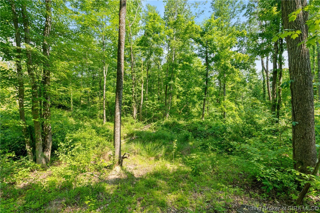 Rosewood & Lambs Ridge Road Southeast Elizabeth, IN 47117 - Photo 23 of 24