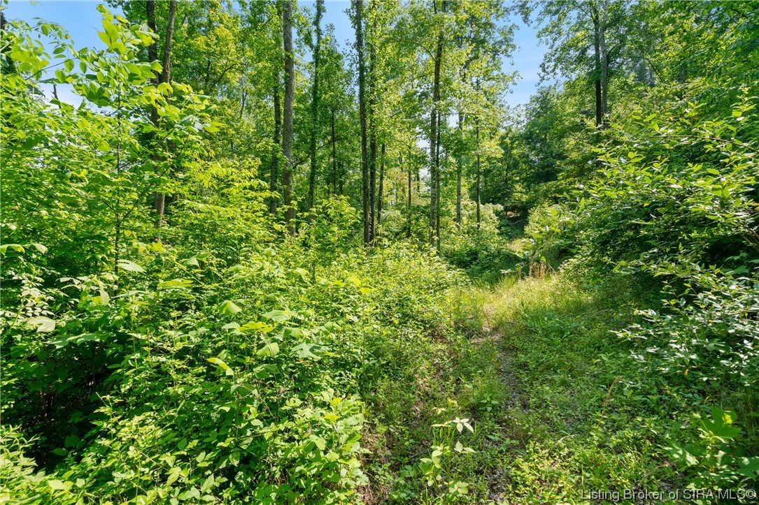 Rosewood & Lambs Ridge Road Southeast Elizabeth, IN 47117 - Photo 24 of 24