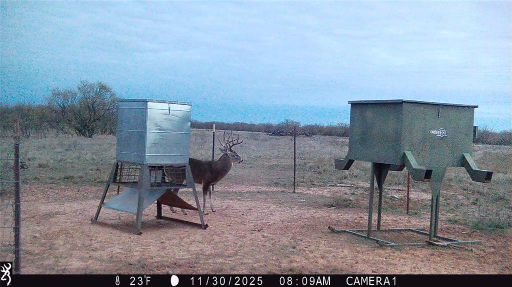 235 227 Haskell Tx 79521 Haskell, TX 79521 - Photo 30 of 40 a view of a chairs in a backyard