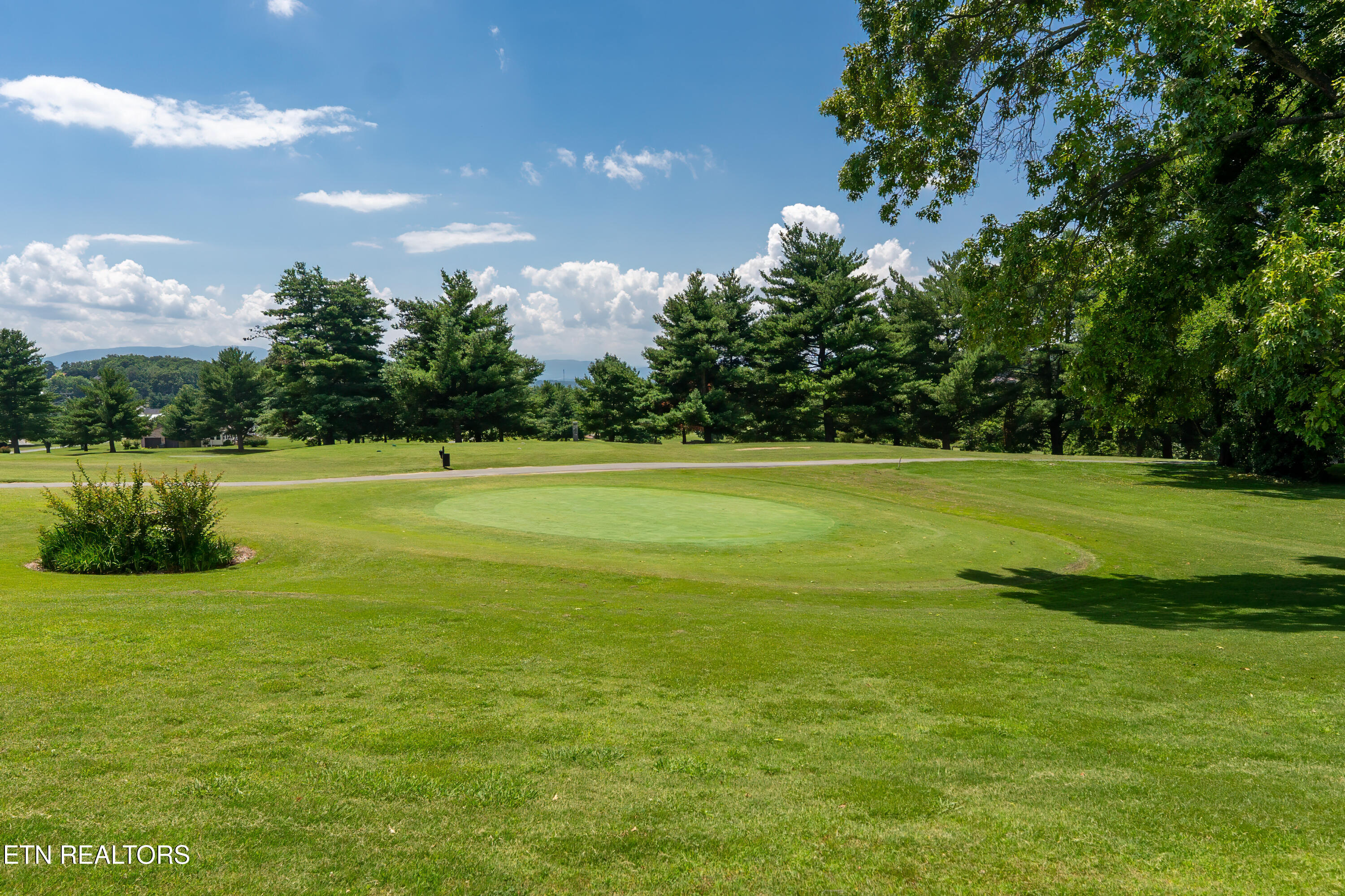 1163 Country Club Road Dandridge, TN 37725 - Photo 53 of 56 _DSC4381-Edit