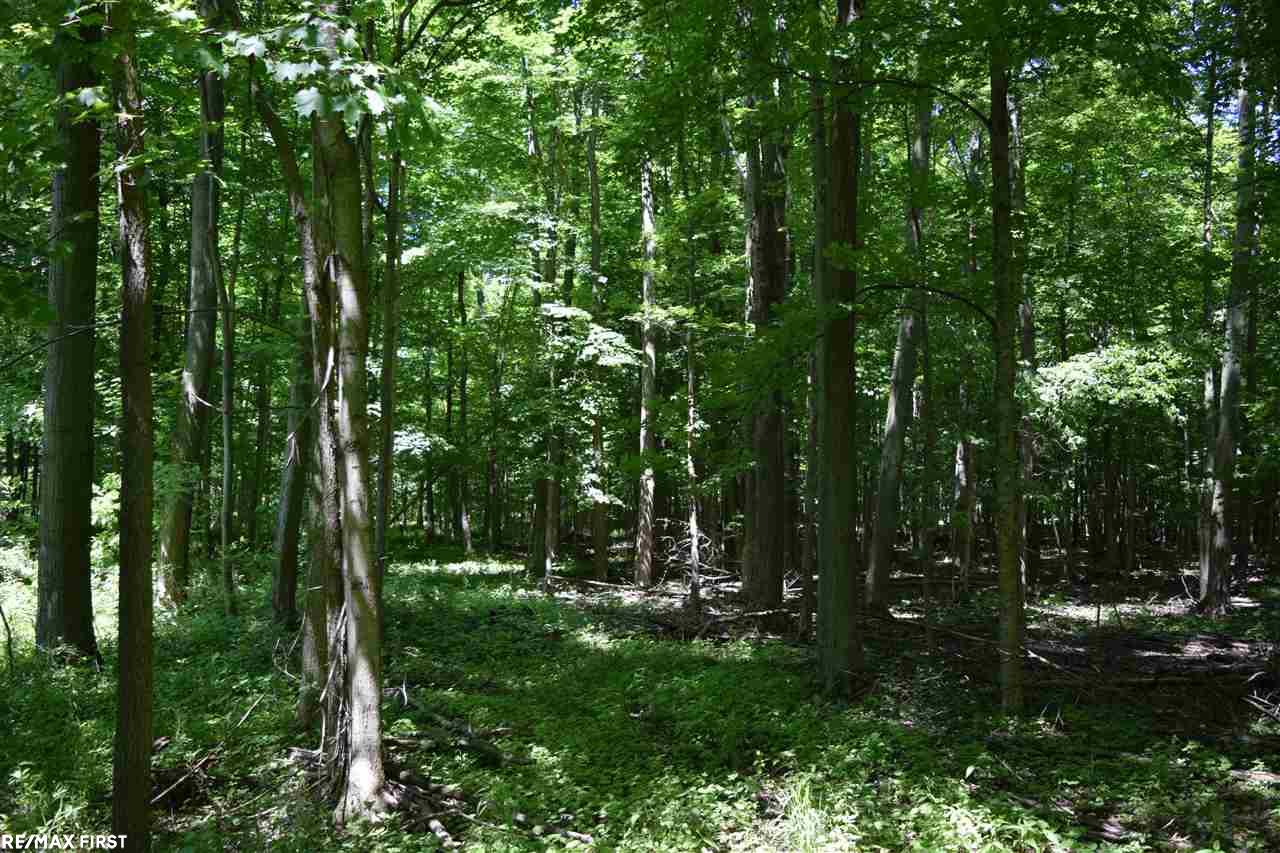 Kilgore Road Avoca, MI 48006 - Photo 10 of 11