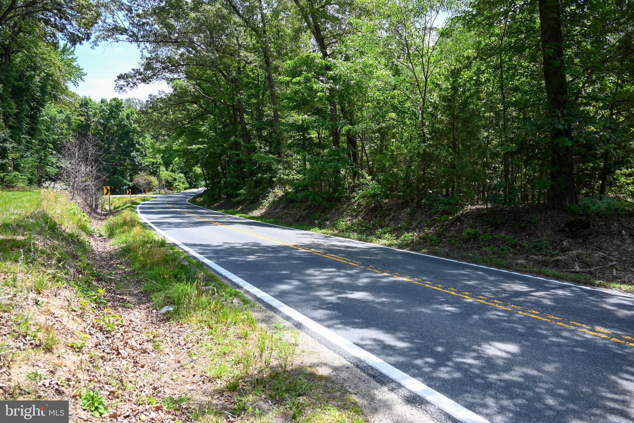 0 Caledon Road King George, VA 22485 - Photo 6 of 7