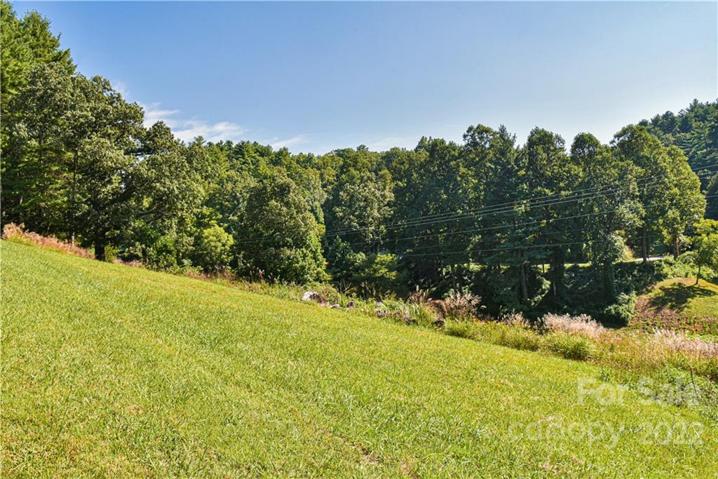 335 Forest Ridge Road, Unit 10 Mars Hill, NC 28754 - Photo 3 of 48 Gallery Image 3