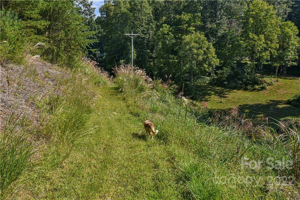 335 Forest Ridge Road, Unit 10 Mars Hill, NC 28754 - Photo 45 of 48 Gallery Image 45
