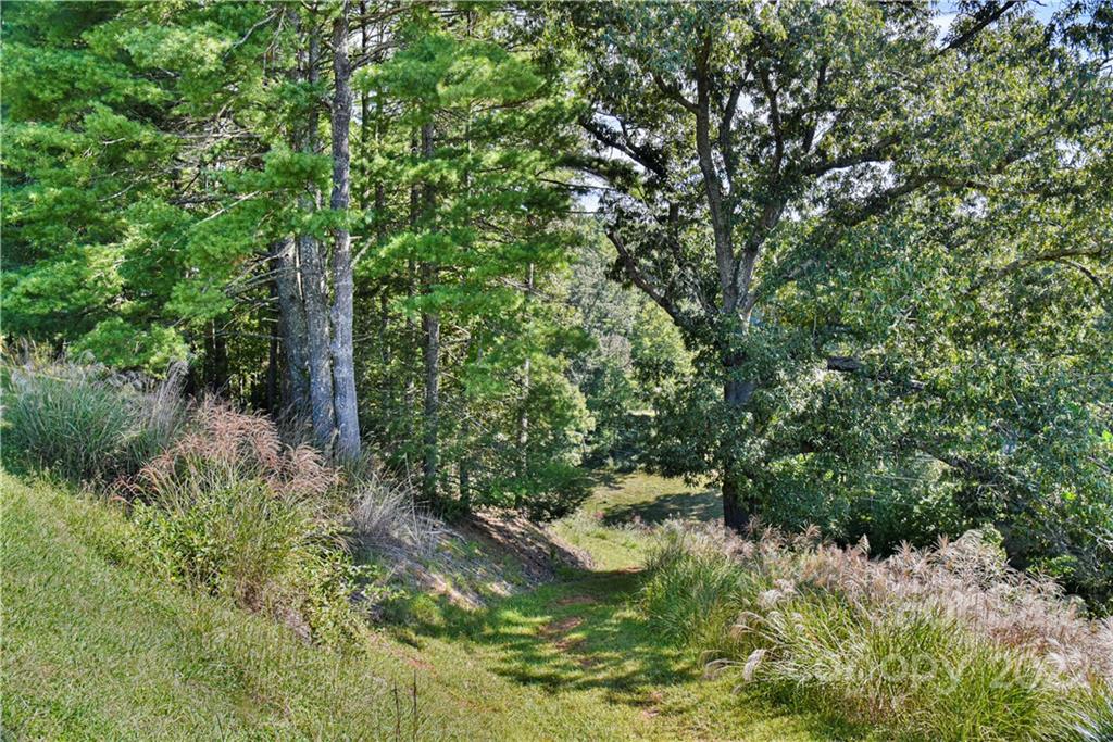 335 Forest Ridge Road, Unit 10 Mars Hill, NC 28754 - Photo 46 of 48 Gallery Image 46