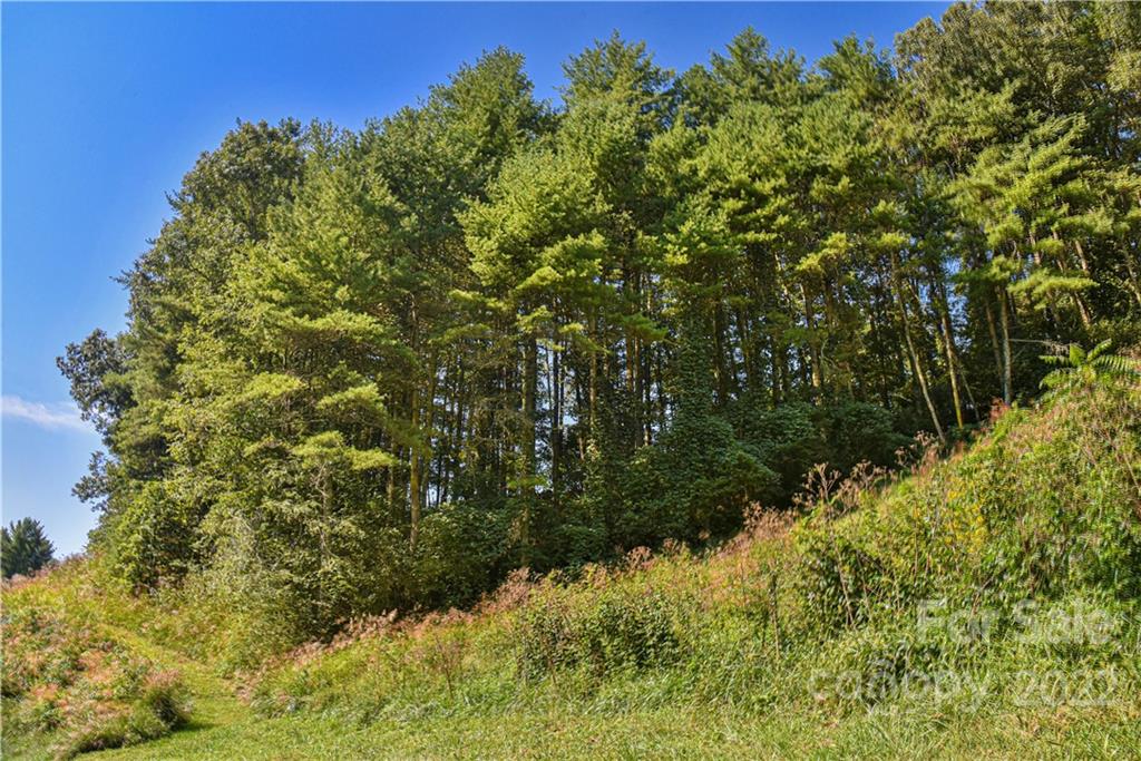 335 Forest Ridge Road, Unit 10 Mars Hill, NC 28754 - Photo 47 of 48 Gallery Image 47