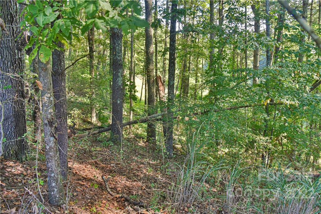 335 Forest Ridge Road, Unit 10 Mars Hill, NC 28754 - Photo 48 of 48 Gallery Image 48