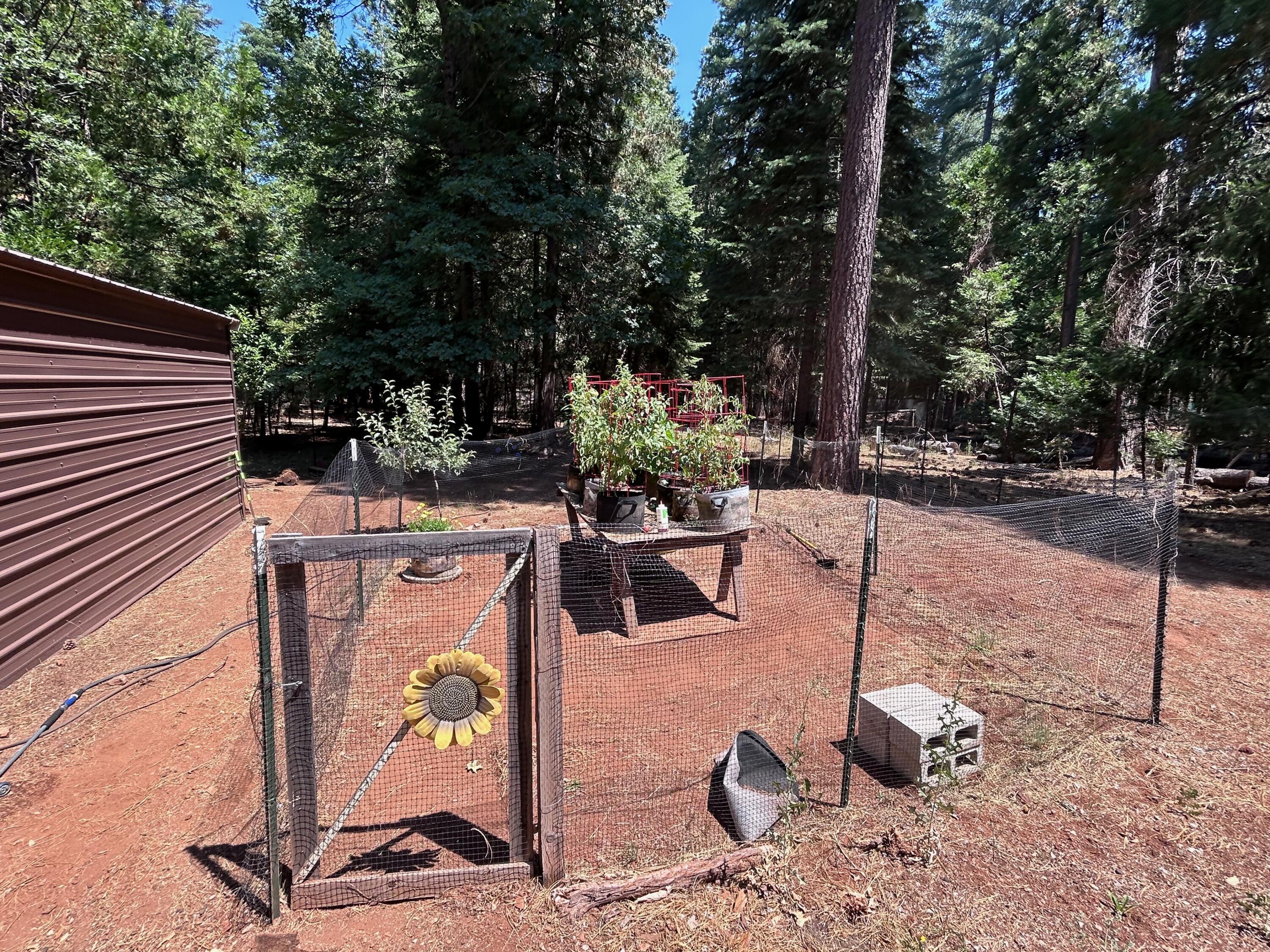 7150 Kaysie Rae Court Shingletown, CA 96088 - Photo 25 of 34 a view of a backyard with plants and a patio