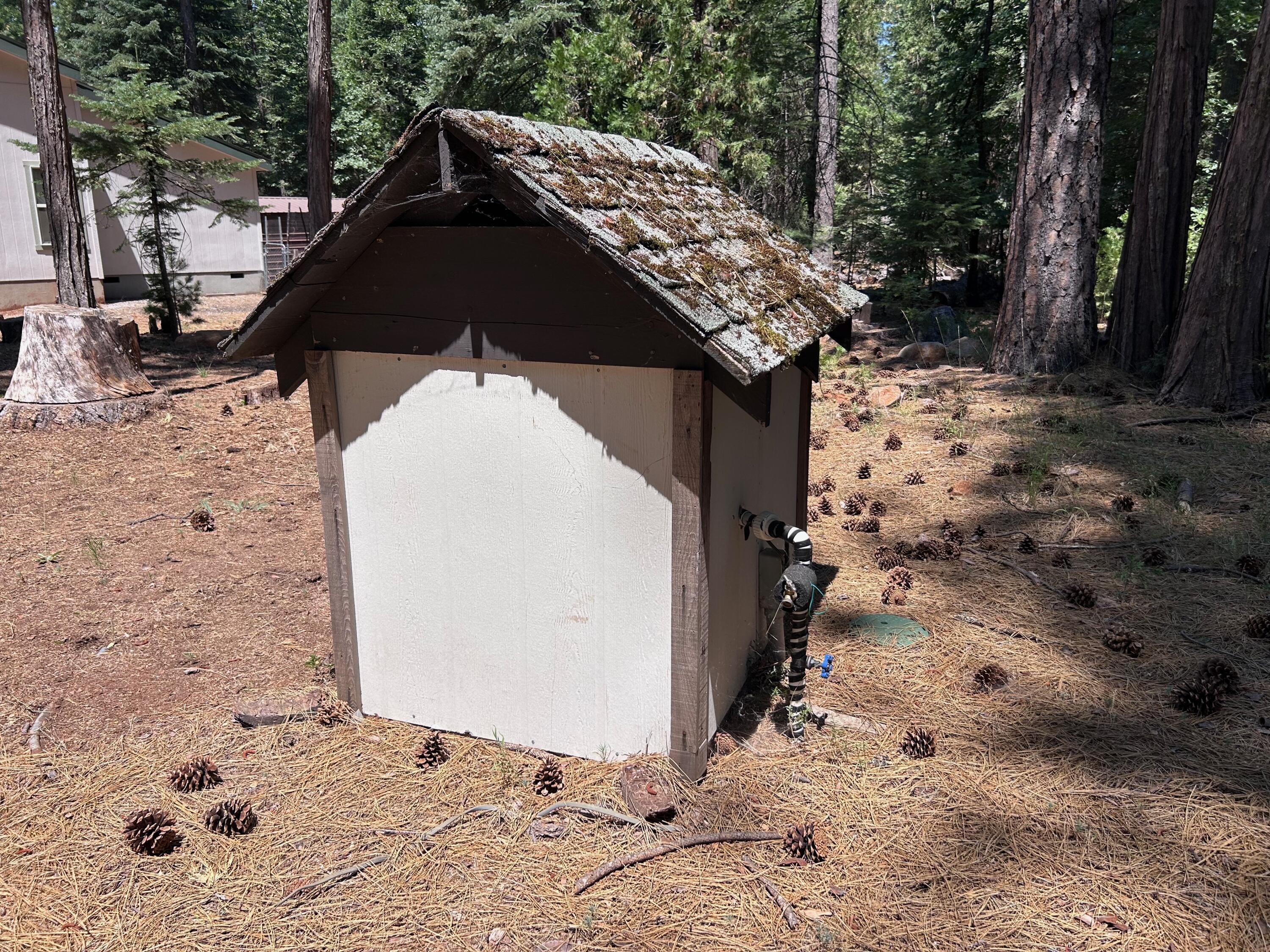 7150 Kaysie Rae Court Shingletown, CA 96088 - Photo 33 of 34 a backyard of a house with lots of green space
