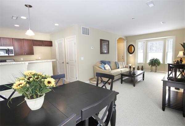 61 Turtle Brook Road, Unit 303 Canton, MA 02021 - Photo 4 of 22 Gallery Image 4