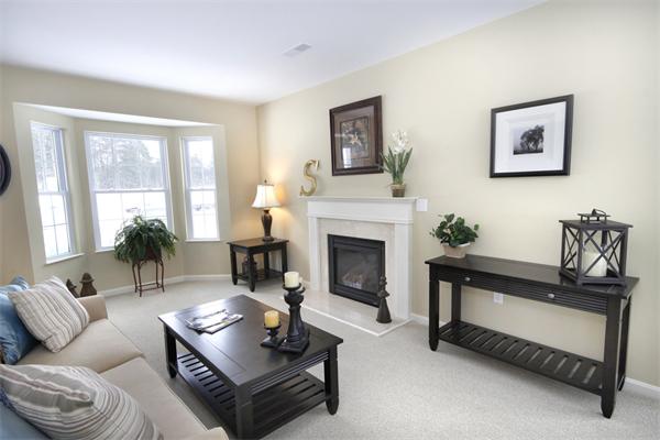 61 Turtle Brook Road, Unit 303 Canton, MA 02021 - Photo 8 of 22 Gallery Image 8