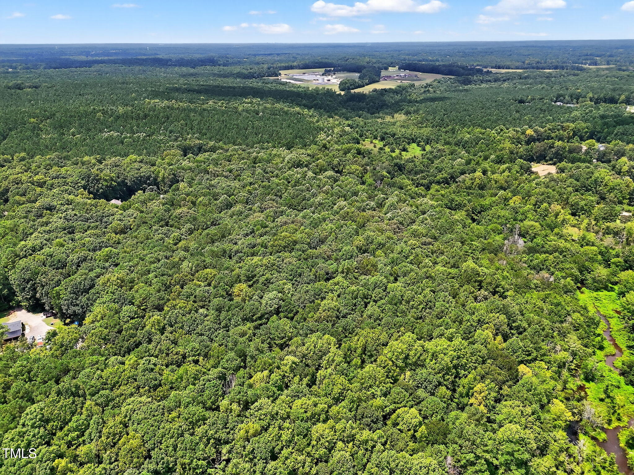 0 Eatmon Road Zebulon, NC 27597 - Photo 12 of 13 a view of a lush green outdoor space with a lake view