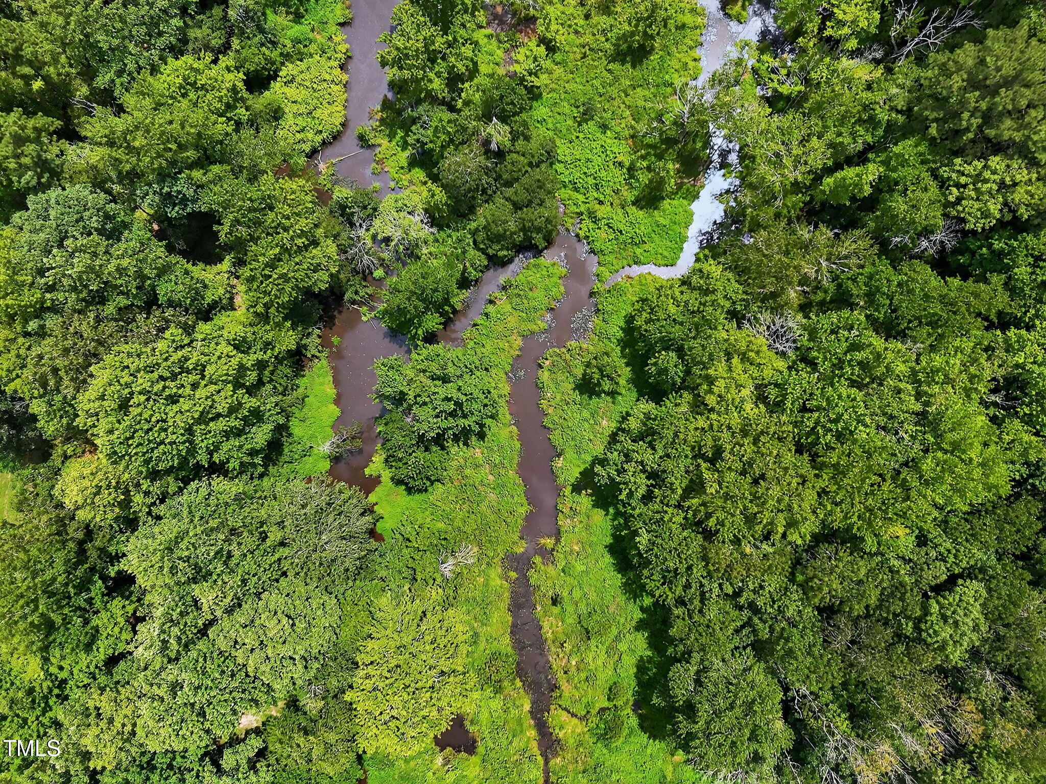 0 Eatmon Road Zebulon, NC 27597 - Photo 13 of 13 an aerial view of a garden with plants