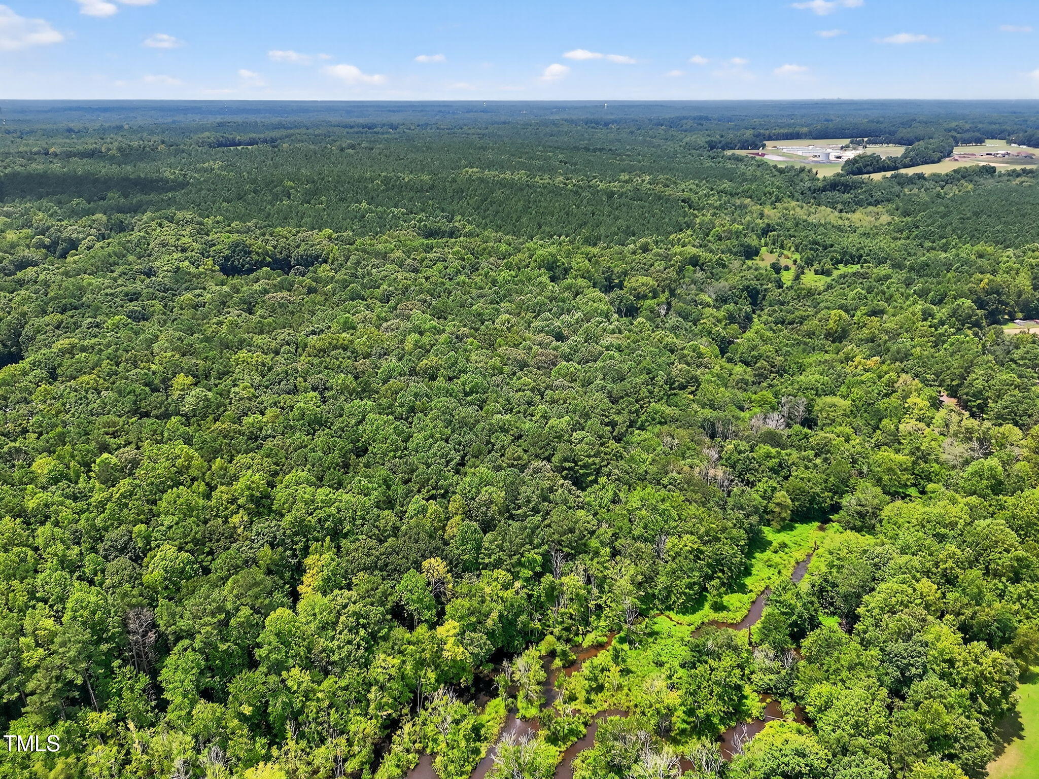 0 Eatmon Road Zebulon, NC 27597 - Photo 5 of 13 a view of a green yard
