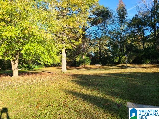 436 Cullman Road Gardendale, AL 35071 - Photo 4 of 27