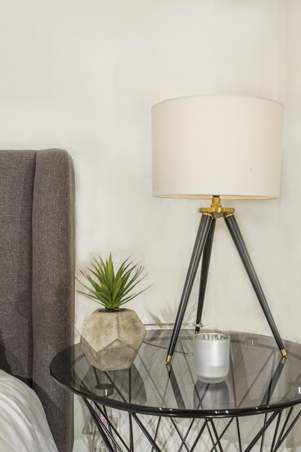 68080 Risueno Road Cathedral City, CA 92234 - Photo 52 of 98 3X5A0670