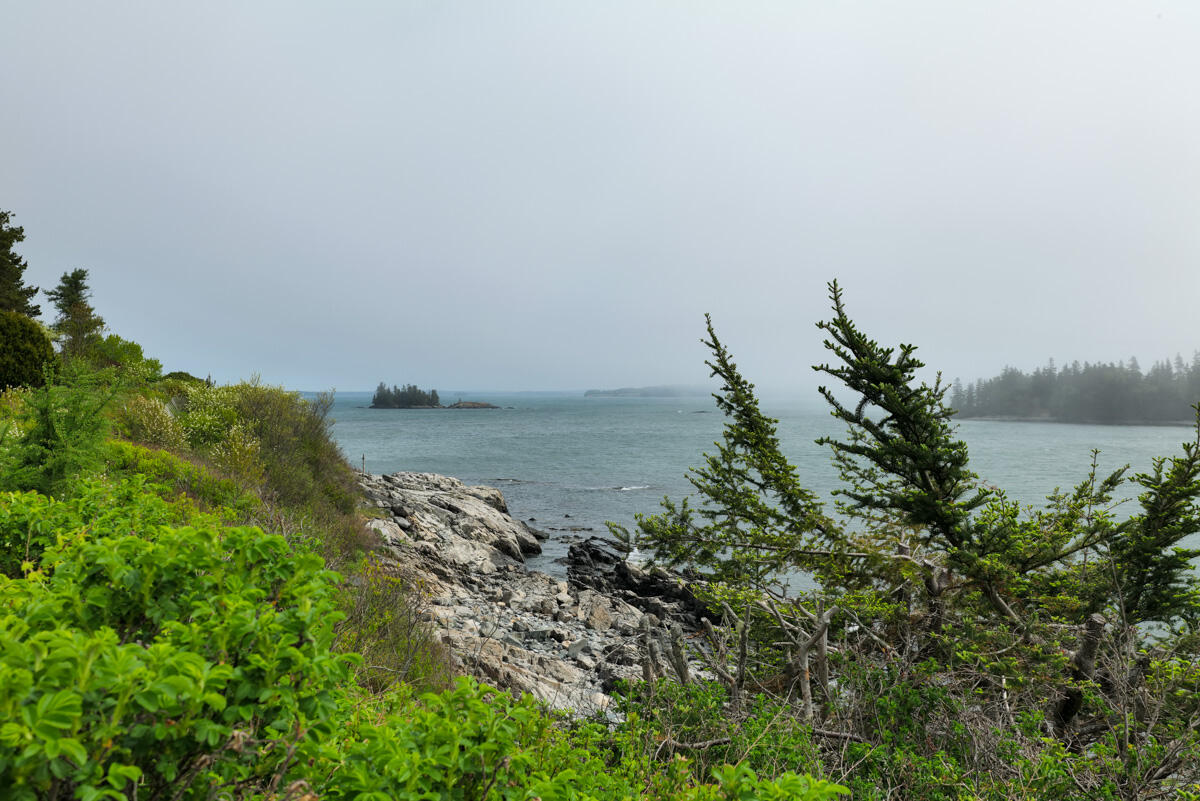 489 Mason Bay Road Jonesport, ME 04649 - Photo 53 of 63 View of Bay from yard