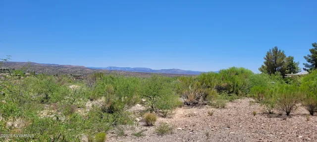 a view of a lush green outdoor space with a lake view