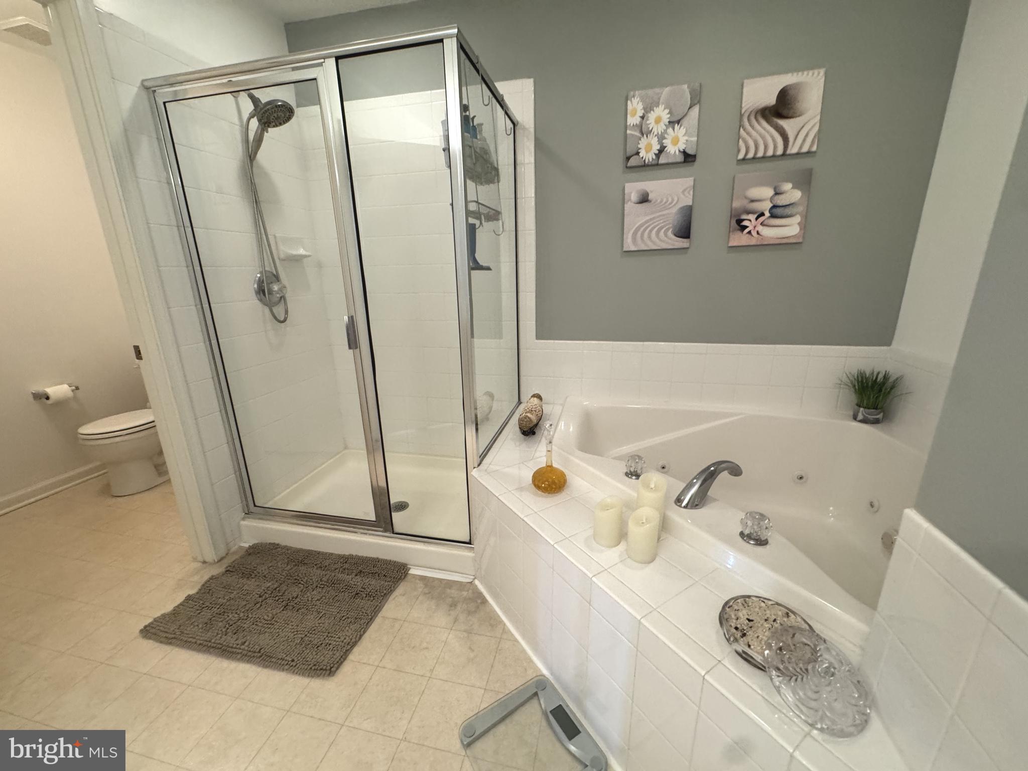 189 Gillespie Avenue Middletown, DE 19709 - Photo 43 of 62 a bathroom with a tub a toilet and a shower