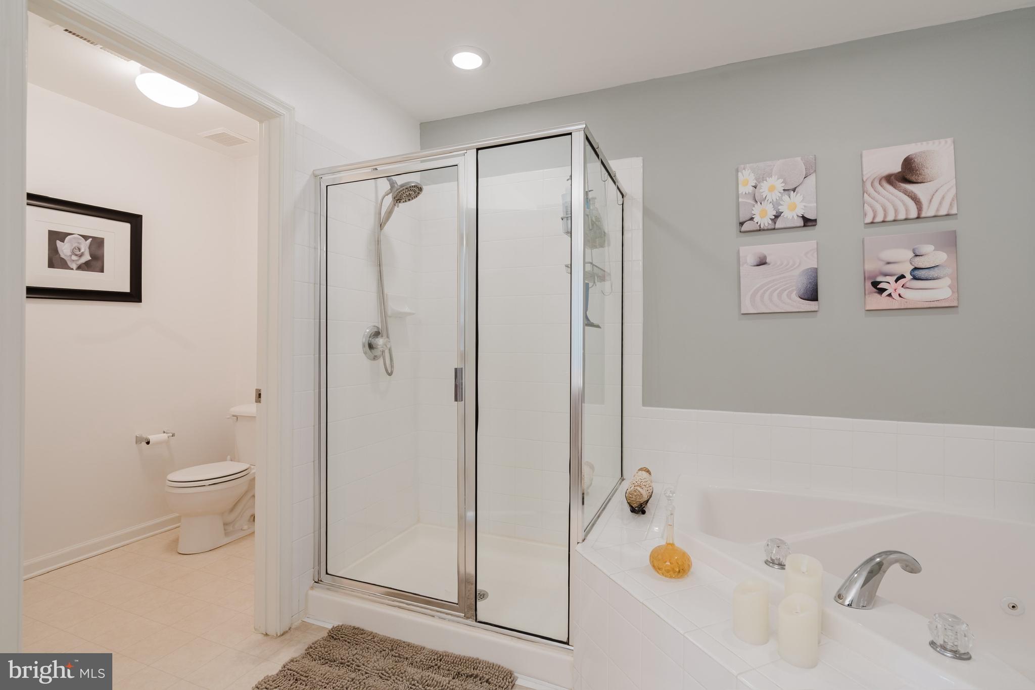 189 Gillespie Avenue Middletown, DE 19709 - Photo 44 of 62 Primary Bathroom Stand Up Shower