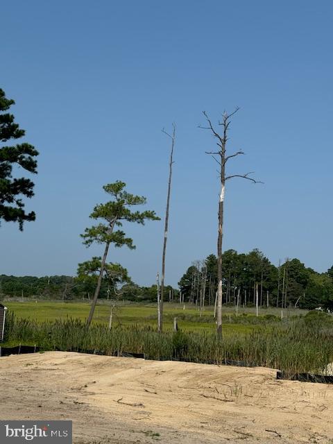 5 Cove View Road Millsboro, DE 19966 - Photo 2 of 2 a view of a park