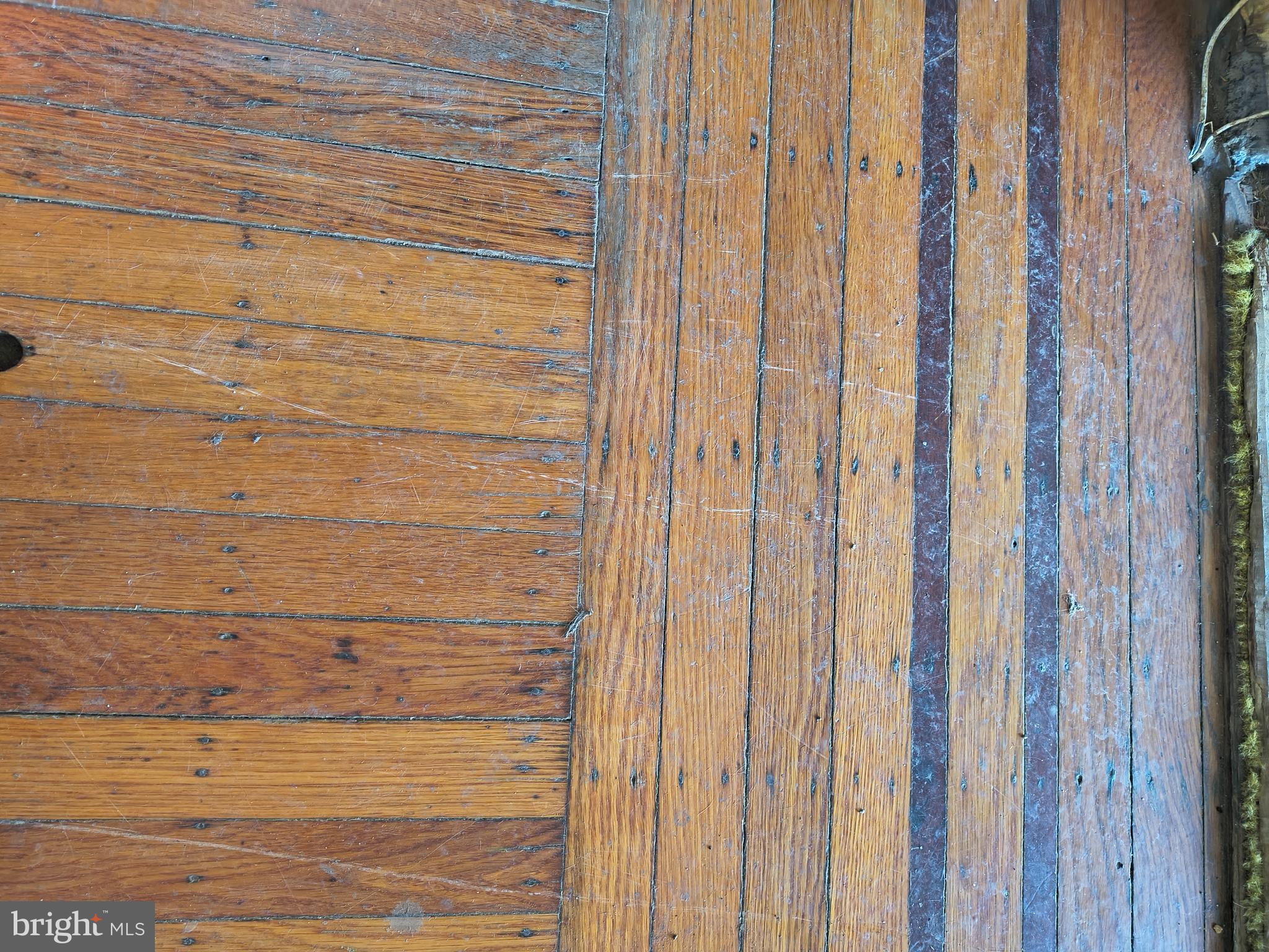 222 West Johnson Street Philadelphia, PA 19144 - Photo 5 of 12