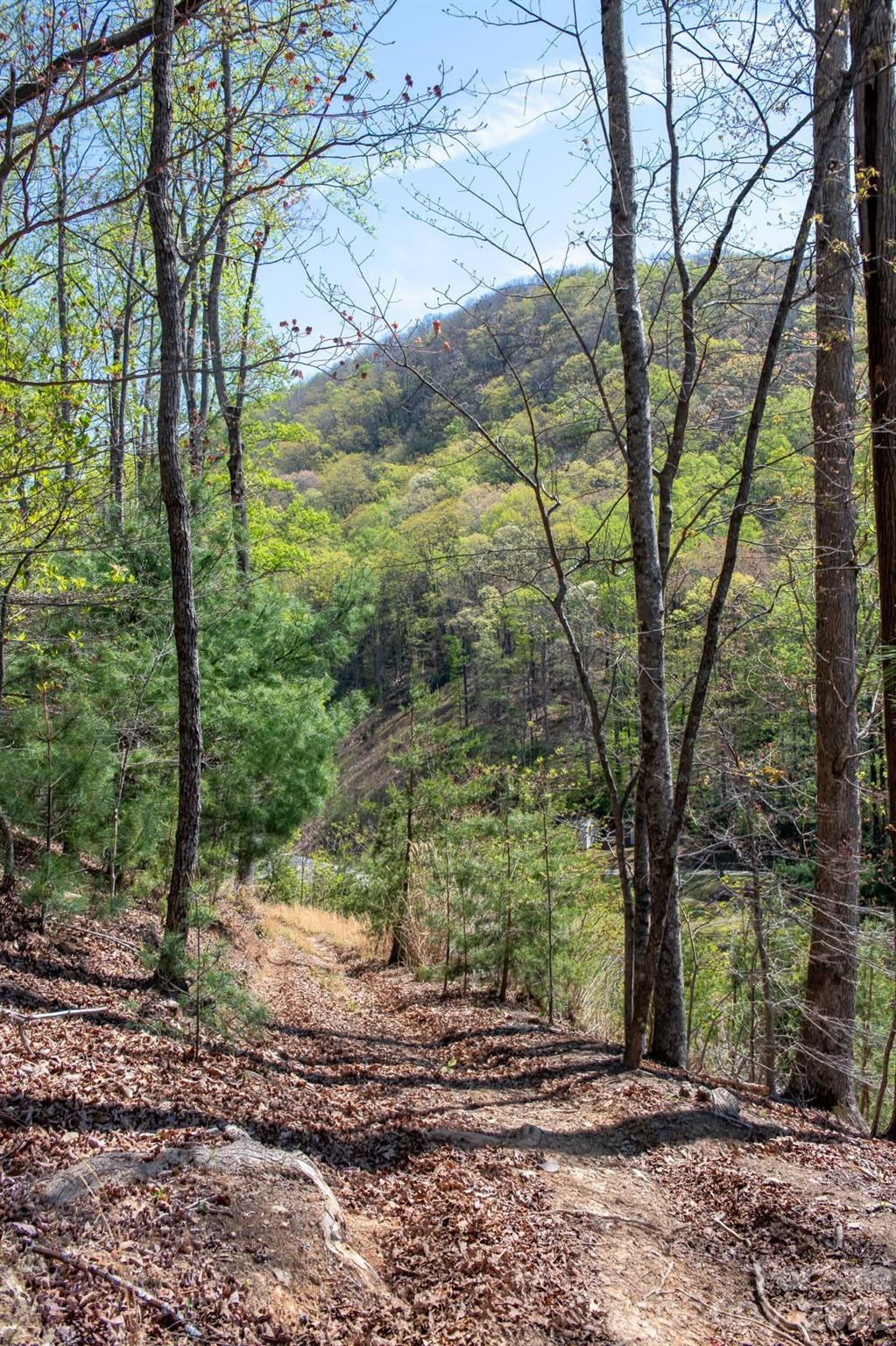 2687 Indian Grave Road Lenoir, NC 28645 - Photo 13 of 31 a view of a trees with a yard