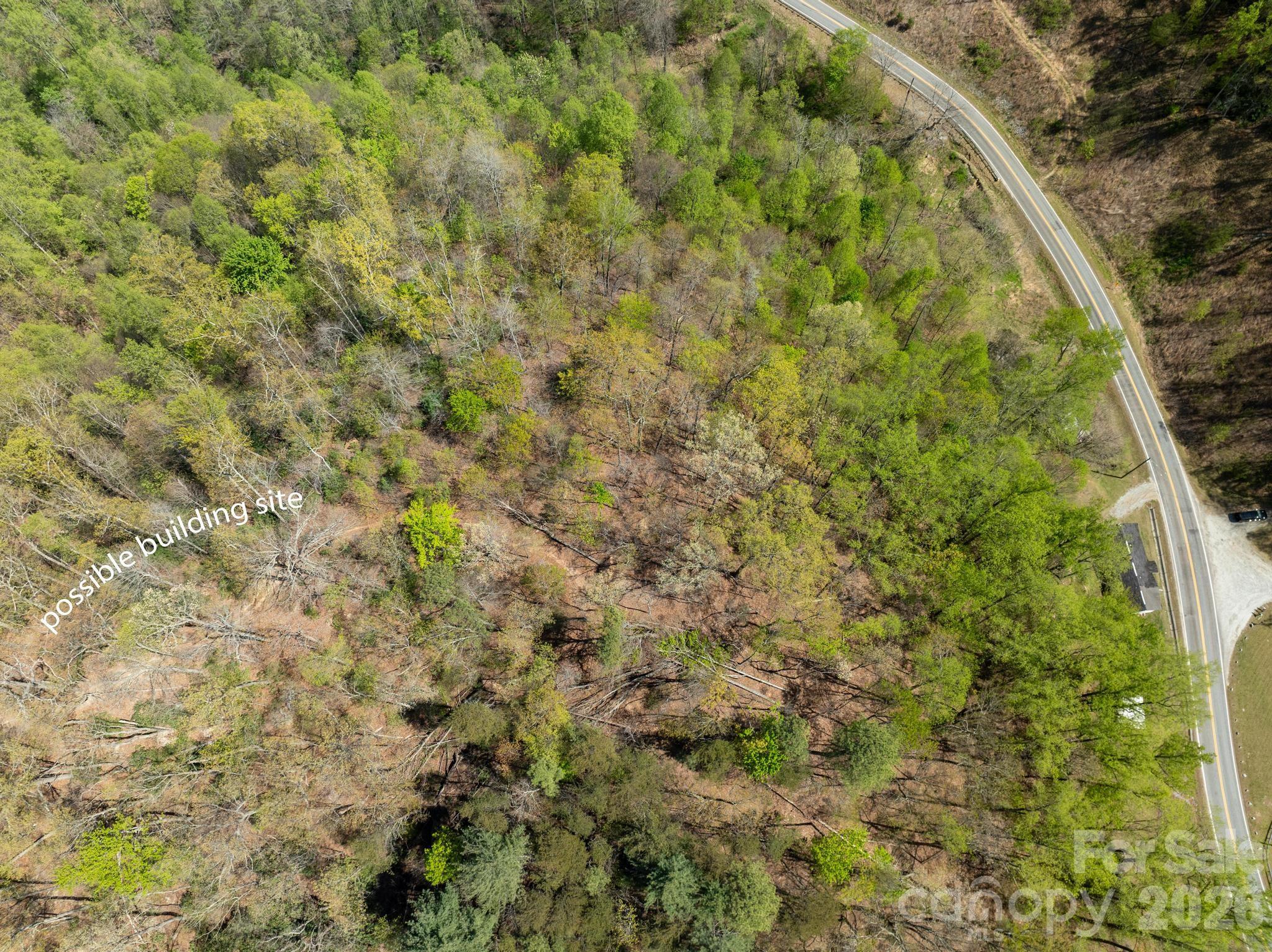 2687 Indian Grave Road Lenoir, NC 28645 - Photo 15 of 31 a view of a yard with a plant