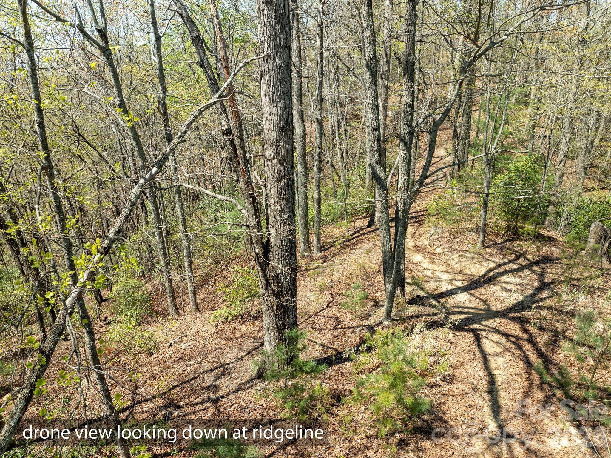 2687 Indian Grave Road Lenoir, NC 28645 - Photo 18 of 31 a view of a yard with plants and trees