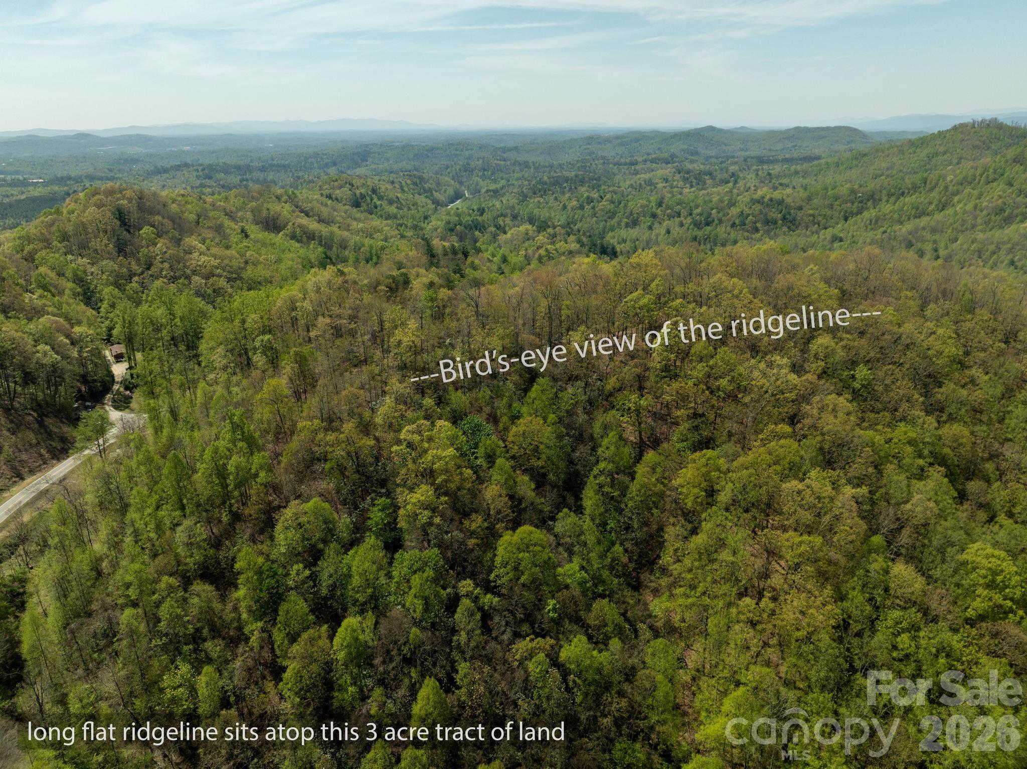 2687 Indian Grave Road Lenoir, NC 28645 - Photo 23 of 31 a view of a city with lush green forest