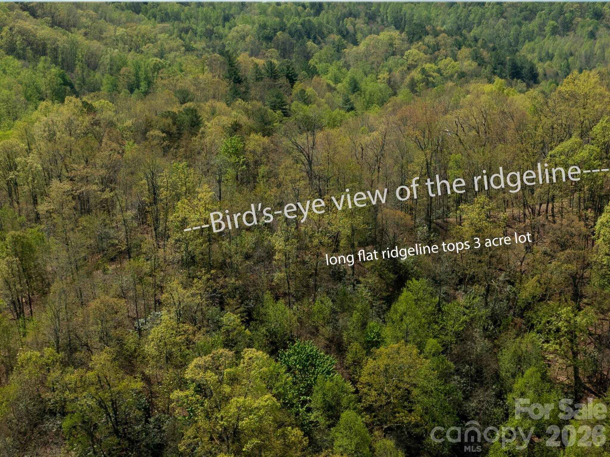 2687 Indian Grave Road Lenoir, NC 28645 - Photo 24 of 31 a view of a large building