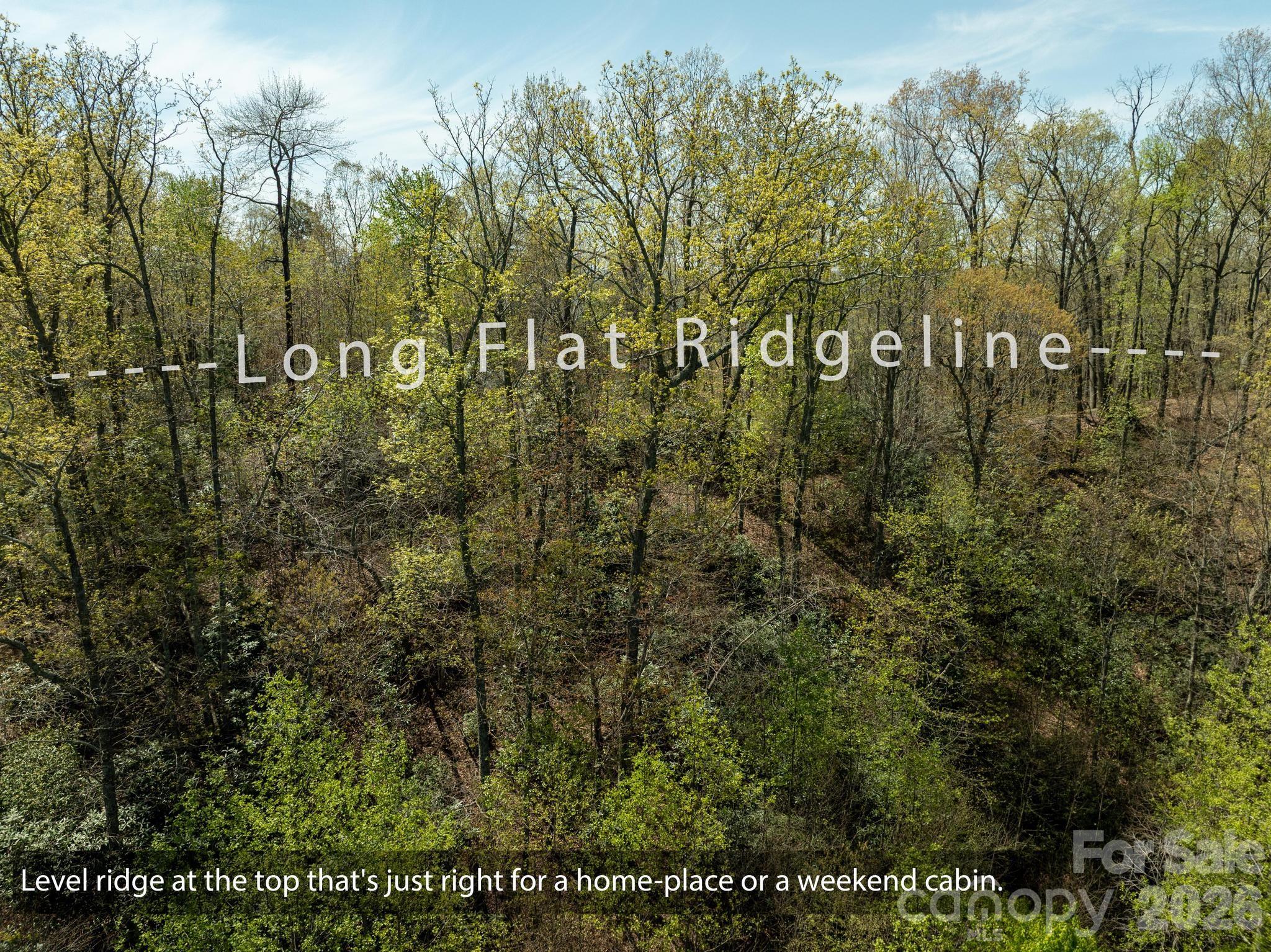 2687 Indian Grave Road Lenoir, NC 28645 - Photo 26 of 31 a view of a green field
