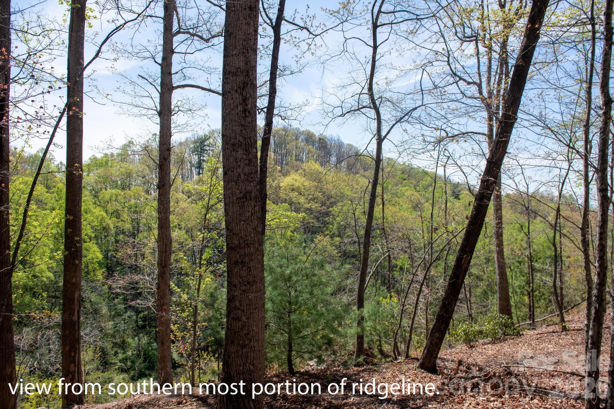 2687 Indian Grave Road Lenoir, NC 28645 - Photo 27 of 31 a view of a yard