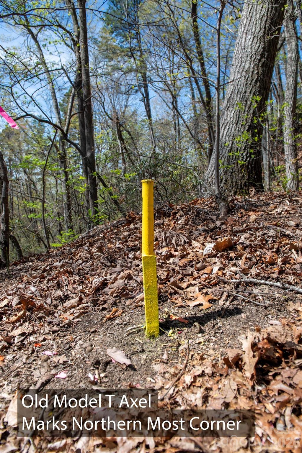 2687 Indian Grave Road Lenoir, NC 28645 - Photo 30 of 31 a street sign on a sidewalk next to a road