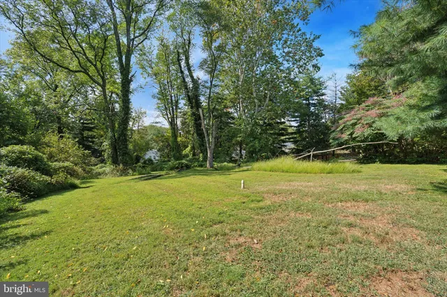 a view of a field with a trees