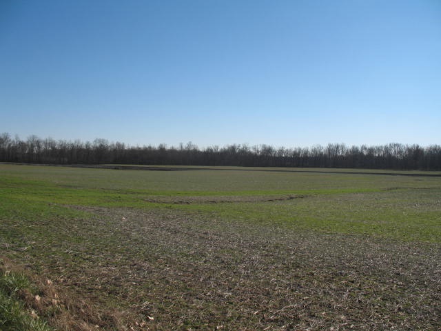 1 Farmer Road Tennyson, IN 47637 - Photo 1 of 13 Gallery Image 1