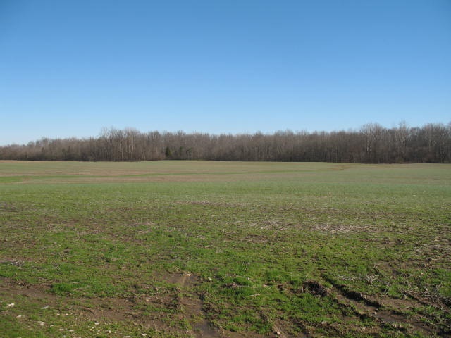 1 Farmer Road Tennyson, IN 47637 - Photo 2 of 13 Gallery Image 2