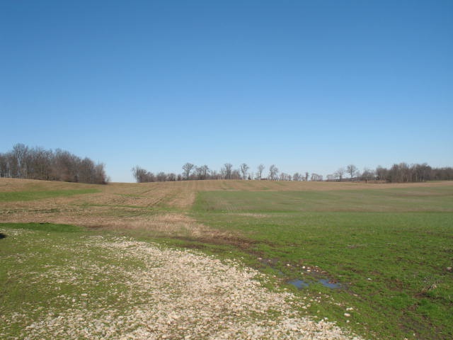 1 Farmer Road Tennyson, IN 47637 - Photo 3 of 13 Gallery Image 3