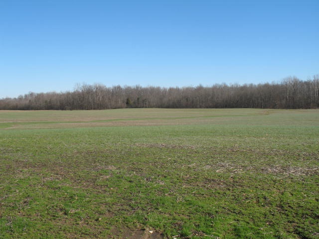 1 Farmer Road Tennyson, IN 47637 - Photo 5 of 13 Gallery Image 5