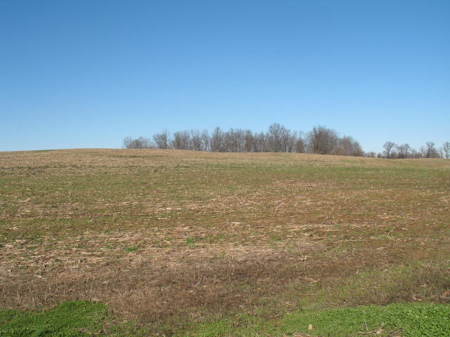 1 Farmer Road Tennyson, IN 47637 - Photo 10 of 13 Gallery Image 10