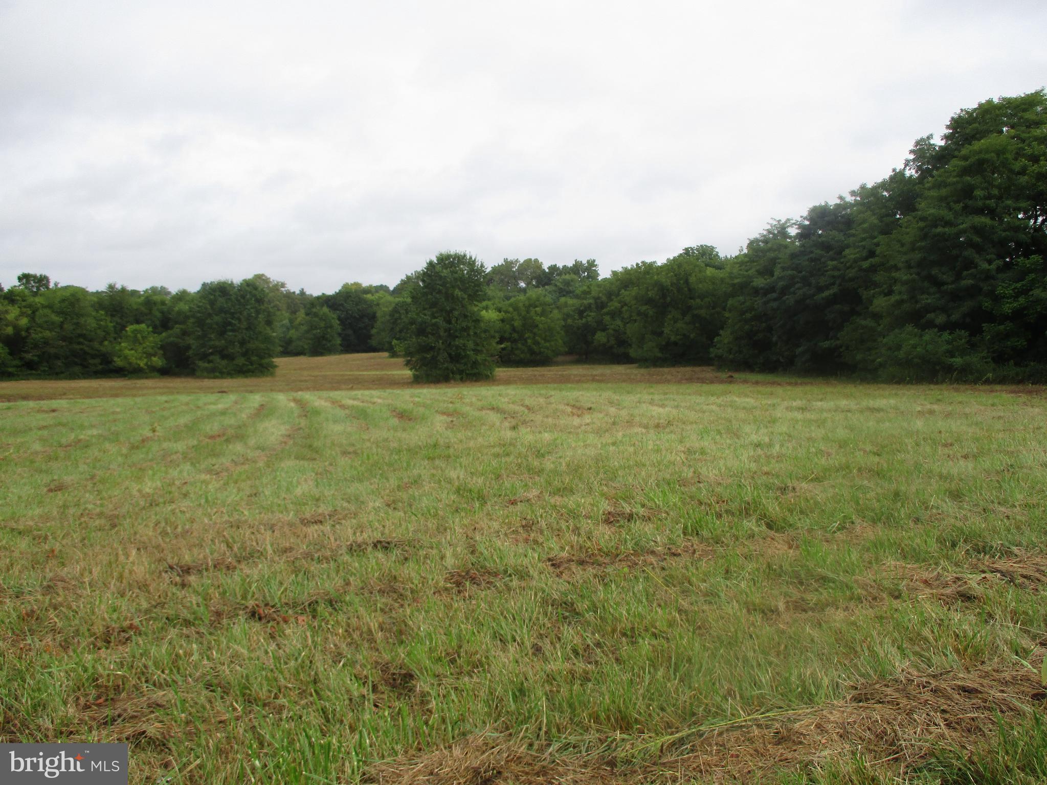 Security Road Hagerstown, MD 21740 - Photo 1 of 5 Tree border