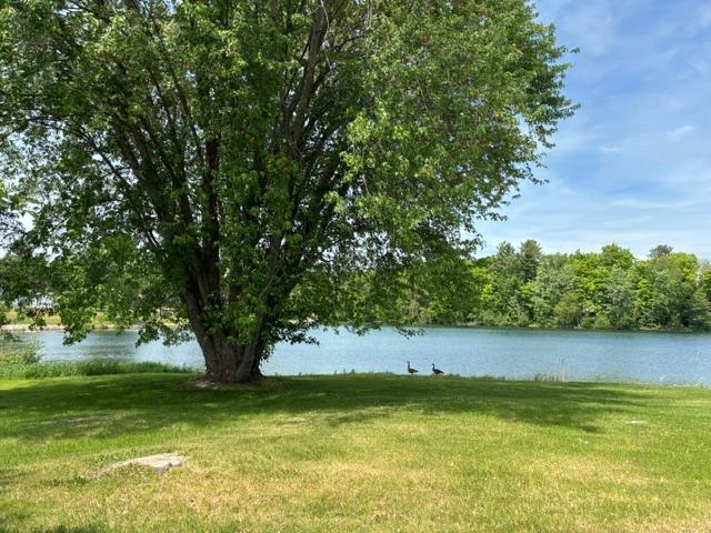 W10738 Enterprise Lake Road Elcho, WI 54428 - Photo 14 of 14 Gallery Image 14