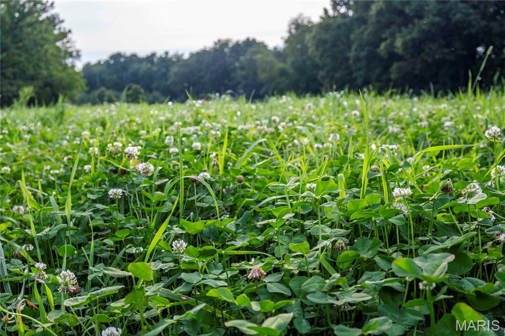 0 Mo-81 Kahoka, MO 63445 - Photo 11 of 77
