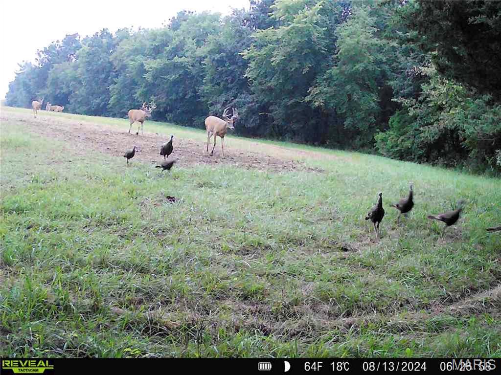 0 Mo-81 Kahoka, MO 63445 - Photo 17 of 77