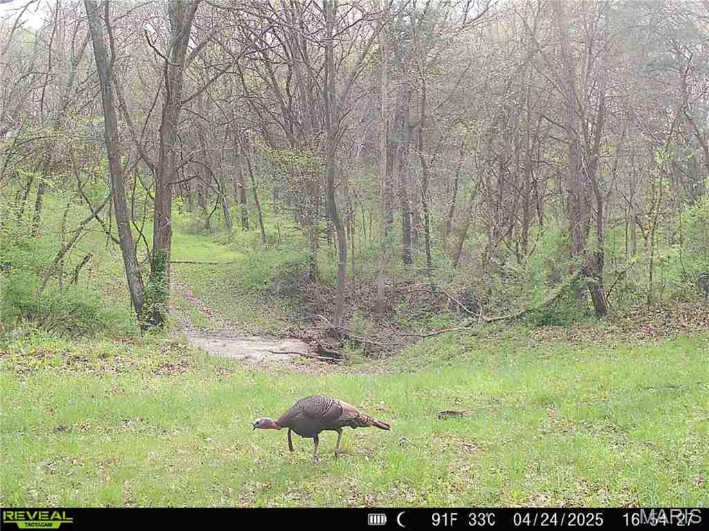 0 Mo-81 Kahoka, MO 63445 - Photo 18 of 77