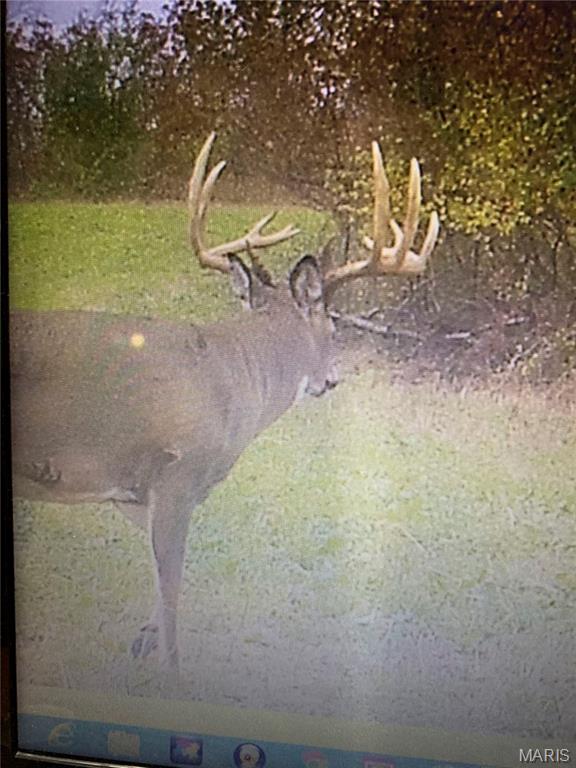 0 Mo-81 Kahoka, MO 63445 - Photo 19 of 77